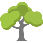Blaine Tree Removal